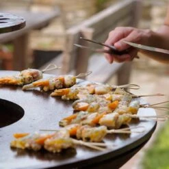 Gartenkamin Plancha Grill PIO100 Schwarz -Heizungsanlagen plancha grill feuercampus365 pio detail1 1280x1280 1